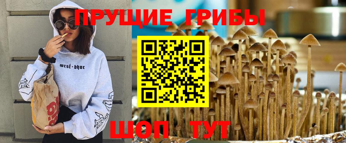 Галлюциногенные грибы Psilocybe  Вход с VPN  Муром 
