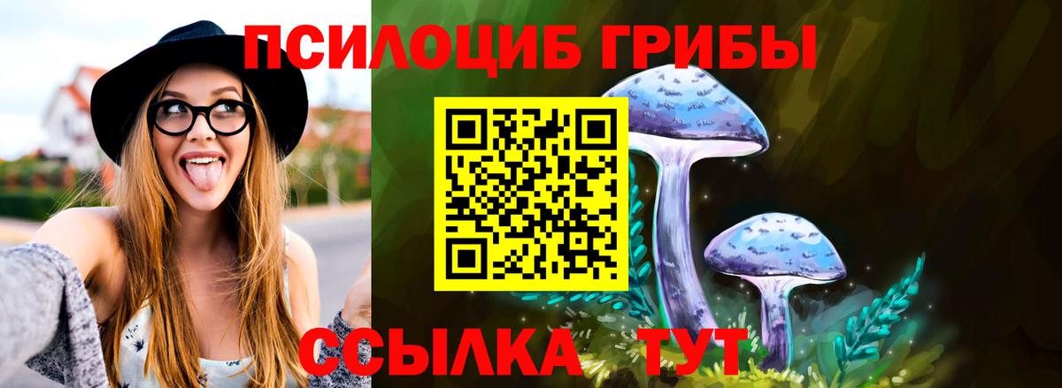 Галлюциногенные грибы мицелий Муром